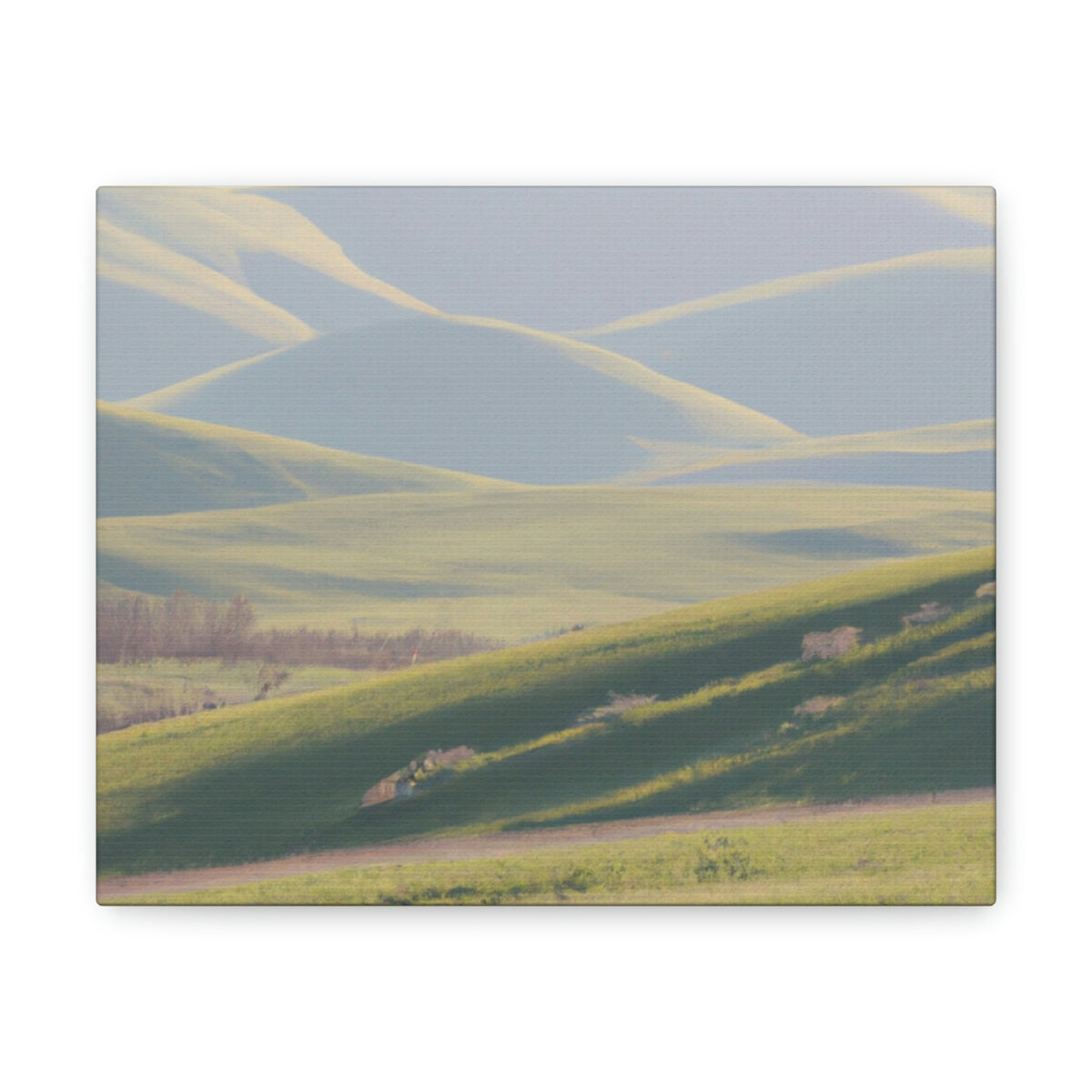 Gentle Rolling Hills