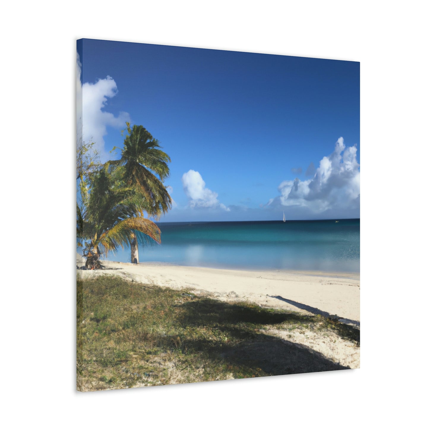 Carla Costa Beachscape Artist- Canvas