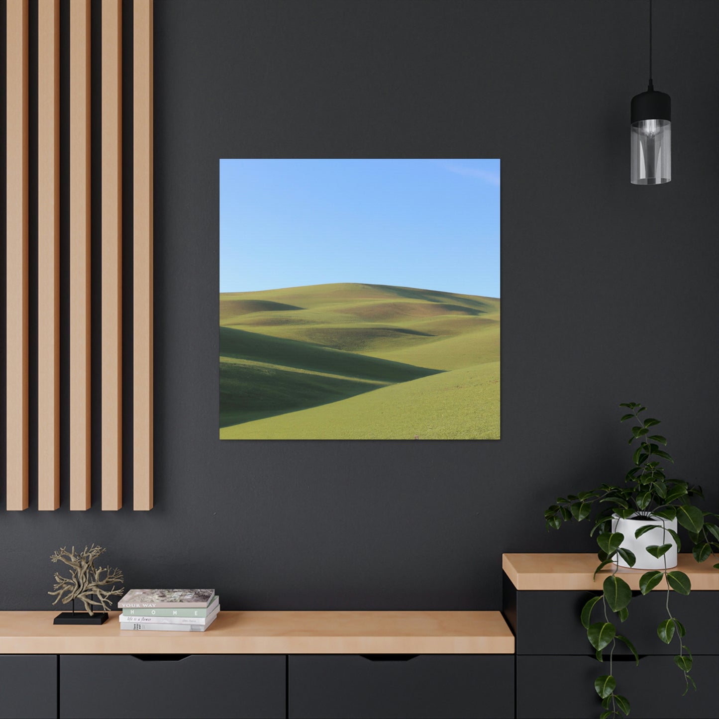 Anaisyu Landscape Artist- Canvas