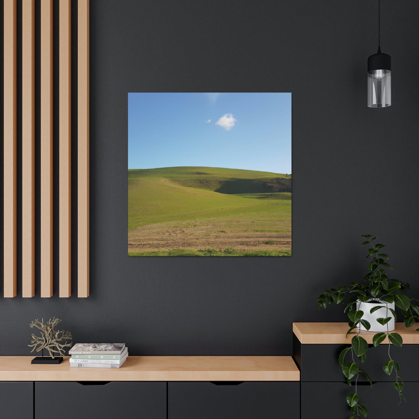 Paula Landscapes- Canvas