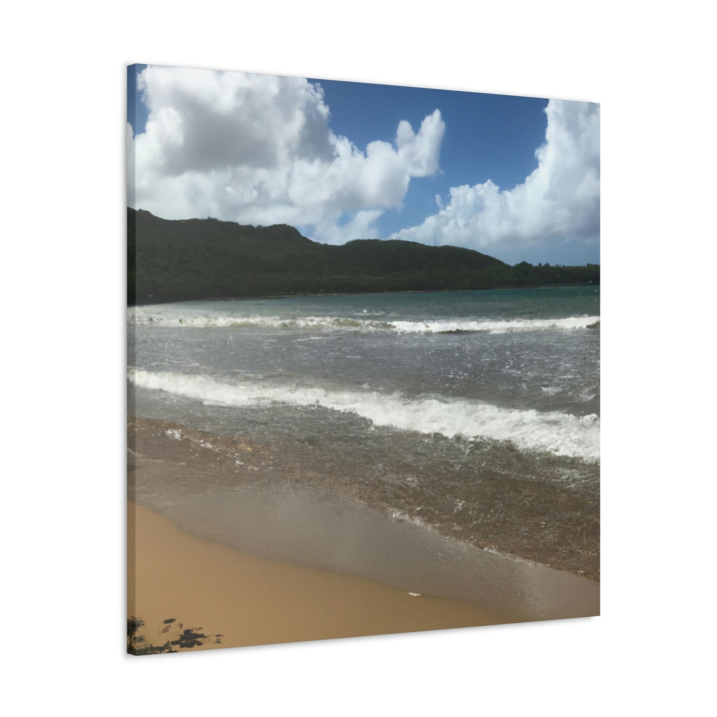 Sharon Oceanview- Canvas