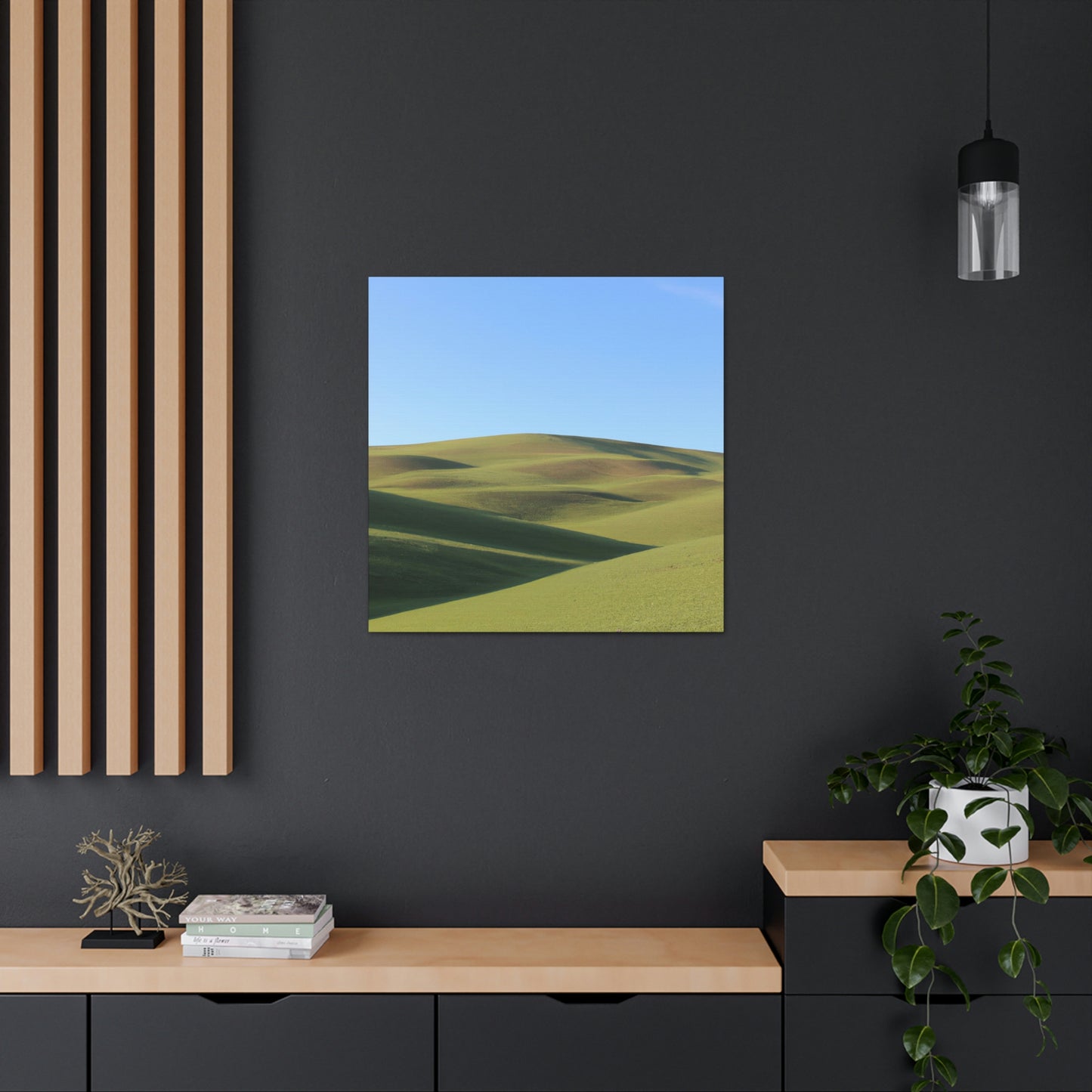 Anaisyu Landscape Artist- Canvas