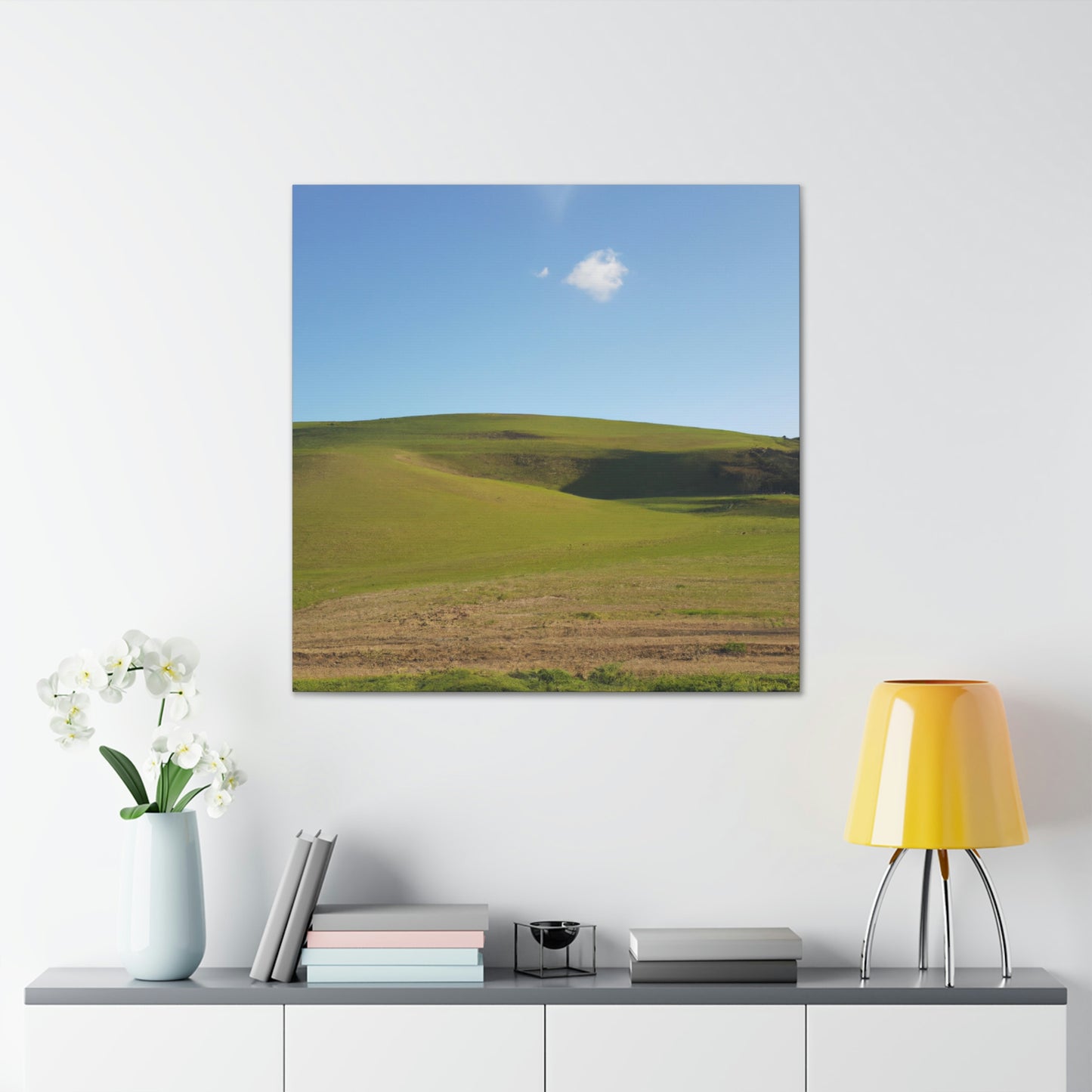 Paula Landscapes- Canvas