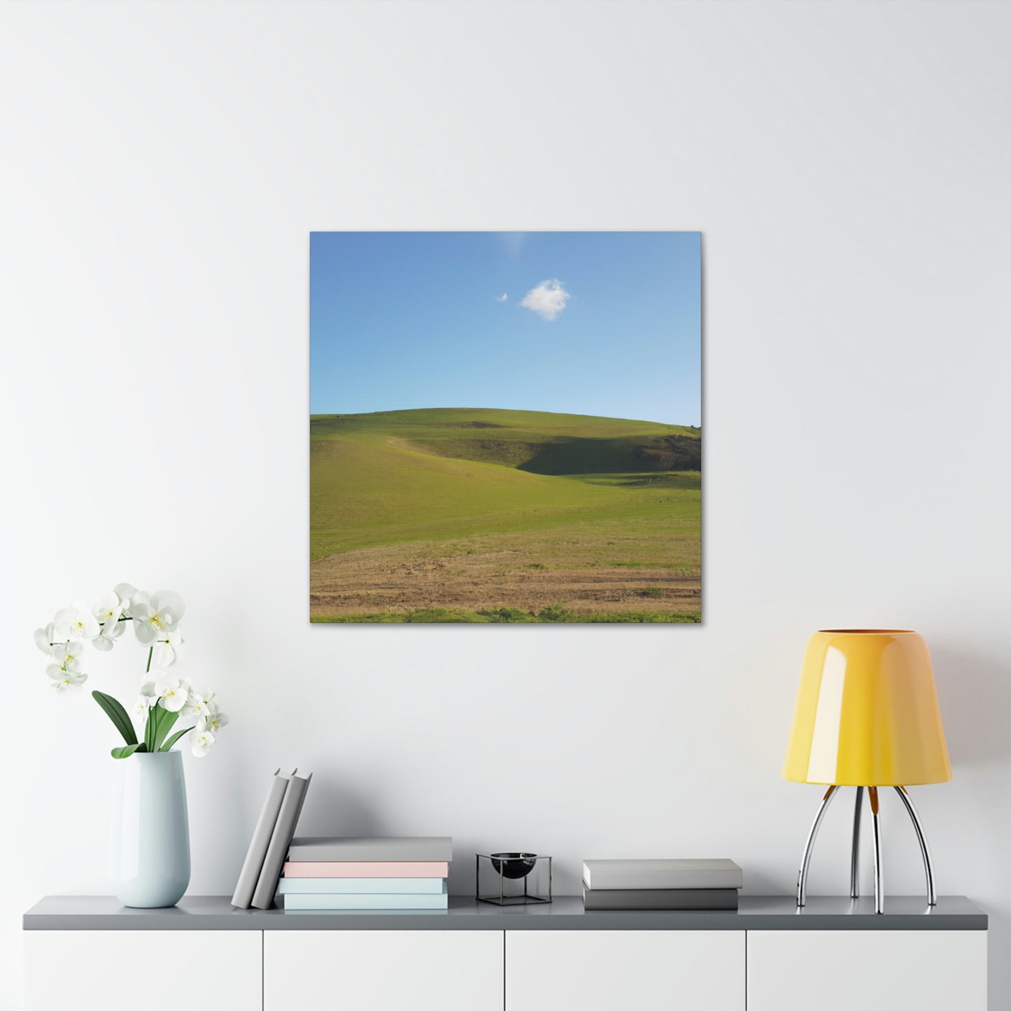 Paula Landscapes- Canvas